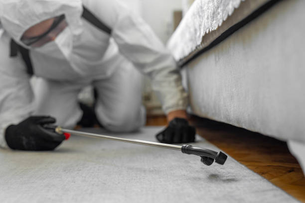 Professional Ant Control technician working in Tice, FL